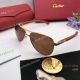 Cartier Love Sunglasses - Double Bridge Mens Sunglasses (5)_th.jpg
